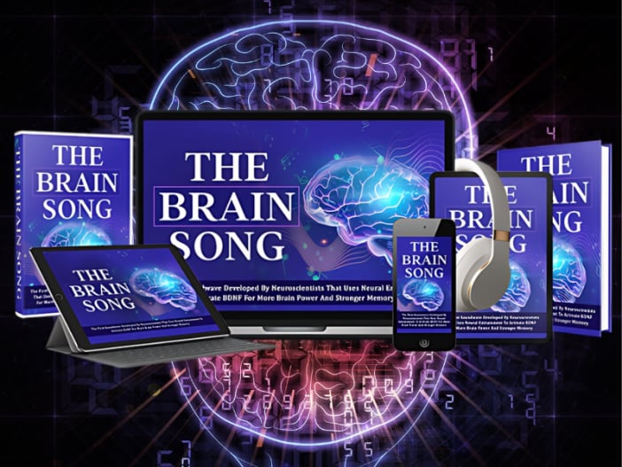 The Brain Song Program